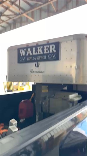 6.6K views · 39 reactions | Dizzy's Porch Lights on Reels | Facebook