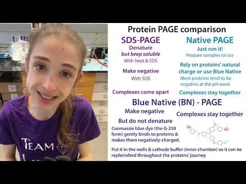 Blue Native PAGE
