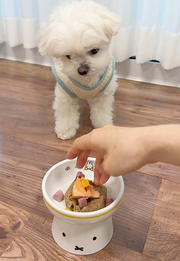 Sulgi Mukbang ASMR: A Sensory Food Experience