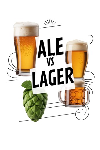 Ale Vs Lager: Waiter's Guide to Describing Beer in English | Bar Staff Training - Etsy