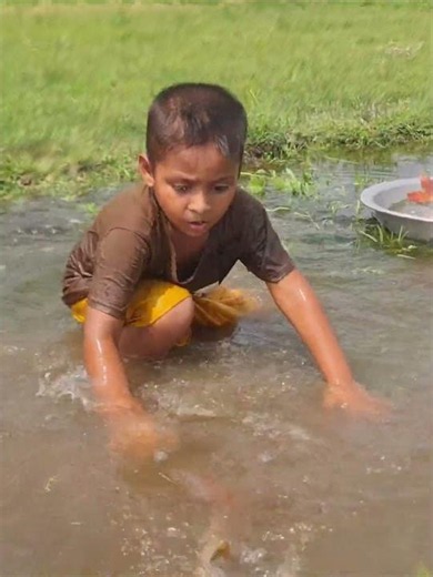 Amazing Boy Catching Fish By Hand
