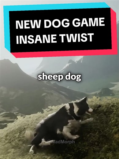 A new dog game with A TWIST, would you play this? Beautiful landscapes in a troubled world as a sheepdog! Looks like Death Stranding meets Stray #WhatToPlay #steam gaming recommendations, games to play, upcoming games, best games