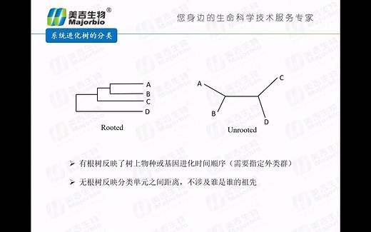 进化树介绍与绘制实操