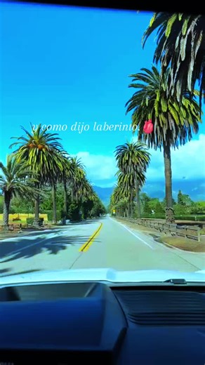 💙🤍💙🩶🤍💙#💐🥀🌹⚘️❤️‍🩹🌷❤️‍🩹⚘️❤️‍🩹 #💖💛💗♠️🤎♠️🤎💯🤎🤎💟🤎🖤🤎🤍💘🤍💘🤍💘🖤💘🖤💘💟🤎💯💘💯💘💯💘💯💘💟