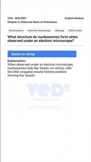 Nucleosome Structure Under Electron Microscope Biology 12th