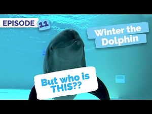 Meet Nicholas - Winter the Dolphin: Saving Winter - Episode 11
