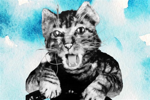 Robert Smigel Was ‘Obsessed’ With SNL’s Toonces the Cat