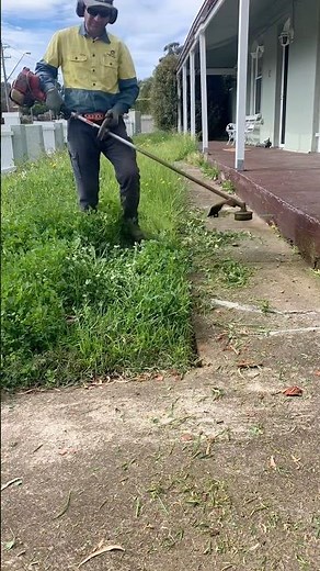 Professional Lawn Mowing , Lawn Care Services