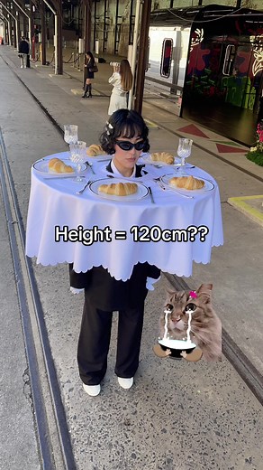 When your follower kindly sent you a video of the person who took the shot 😅😭 #AFW #australianfashionweek #fashiontiktok #fashiondisaster #ohno #ohnono #ohnonononoo #fashionhacks #lmao