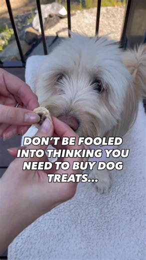 Crispy Air Fryer Banana Treats 🍌 Comment “BANANA” to get this recipe a chance to win our Ultimate Dog Treat Cookbook (50 easy homemade treats). Don’t be fooled into thinking you need to buy dog treats when a banana cost less than $0.25 👇 SAVE THIS RECIPE Ingredients • 1 banana • 1 tbsp olive oil Directions 1. Thinly slice the banana 2. Lightly spray with olive oil 3. Place slices in a single layer in the air fryer 4. Air fry at 200°F for ~40 minutes, until fully dried and crispyLet cool comple