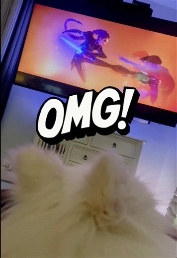 New K-pop idol? Sadie says yes 🎶 🎤 #KPopFans #KPop #DogsOfTikTok #Trending #KPopers