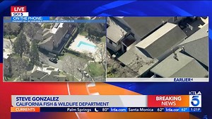 Elusive predator races through backyards, jumps on rooftops, California officials say