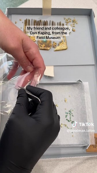 So many of you have a hand in this treatment. Thank you! Now we know what the comb is made of, why it likely fell apart, and what it used to look like. This video mostly focuses on research, so I’ve also released Part 4, which shows visible progress. #thankyou #artconservation #conservation #artrestoration #restoration #antique #comb #haircomb #accessory #hairaccessory #peacock #gilding #gilded #18kgold #plastic #oldplastic #tortoiseshell #costume #history #historicaldress #frame #repair #grandm