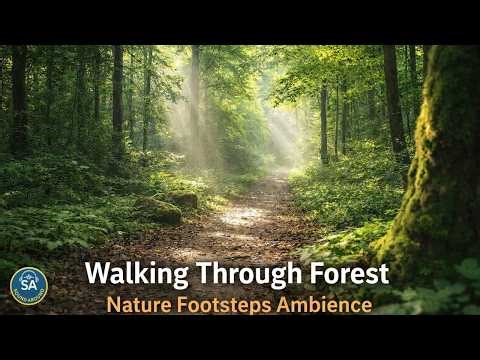 🌲 Walking Through Forest — Slow Nature Footsteps Ambience (Extended Background Sound)