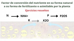 51K views · 2.2K reactions | Aprende a aplicar el factor de...