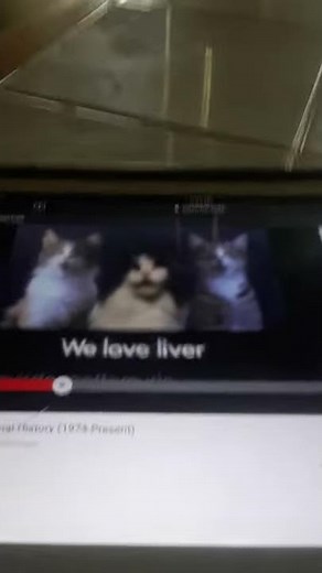 Cats Singing The Meow Mix Song 1983 Meowtones