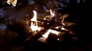 Робинзоны из Беверли Хиллз / Beverly Hills Family Robinson (1997) (комедия, семейный)