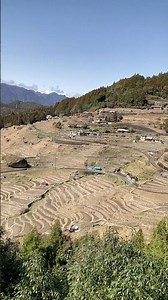 山の斜面を埋め尽くす、美しすぎる棚田の造形美#丸山千枚田 #絶景 #三重観光 #棚田 #日本の絶景#紀伊半島旅行記 #熊野市