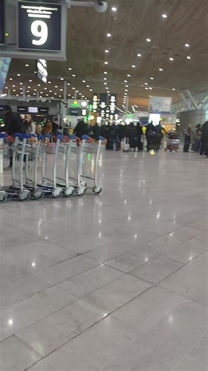 Vidéos de bob bobson (@bobbobson990) avec sunet original - bob bobson