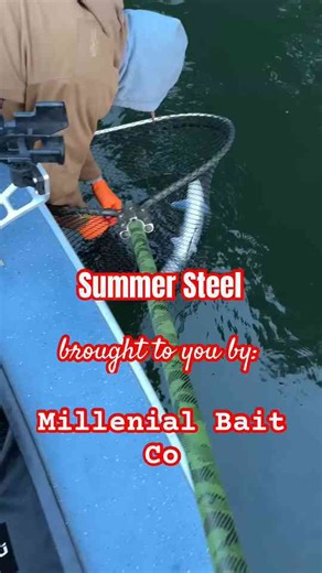 Coon Shrimp Steelhead – Columbia