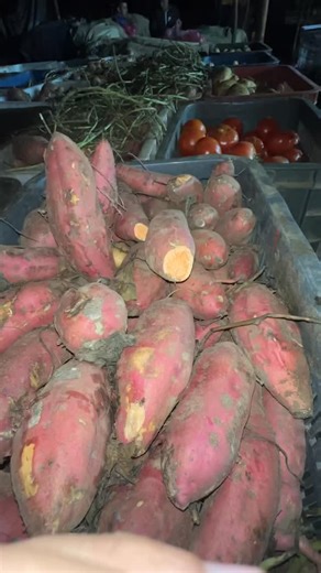 1.4K views · 173 reactions | #برمسيوووووووووووو_خيالية | Smail services | Facebook