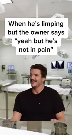 Understanding the Meaning of Limping in Pets