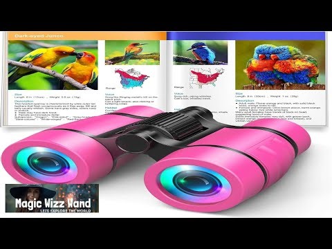 Toys for 3 7 Year Old Girls: LET'S GO! Binoculars for Kids Bird