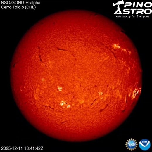 Sun in H-alpha: Dec 11, 2025 #PinoAstro