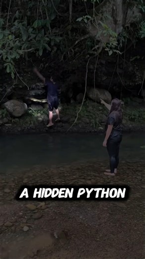 He Didn't See the Python Coming #funny #fail #shorts
