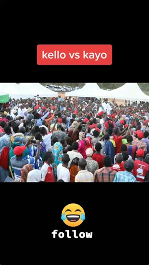 comparing crowd of kello vs abshiro#tik tok#