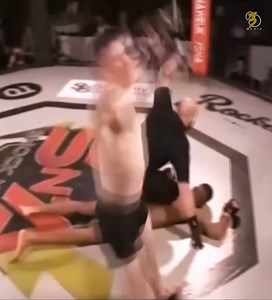 160K views · 542 reactions | Craziest Fight Ending Ever  Knockout Of The Century 壘壘 | Anita Skorgan | Facebook