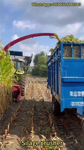 Silage Crusher Machine | High-Efficiency Forage Crushing Equipment for Livestock Feed
