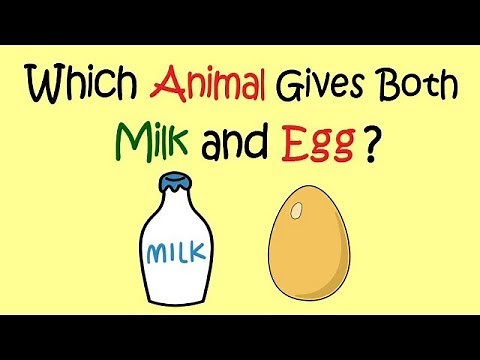 Interesting GK | Interesting GK questions| Interesting GK Facts | Unknown Facts | Learn With Riya