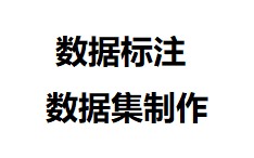 深度学习数据标注(告别labelme和labelimg)