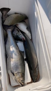 Monday morning 8/18 just opened up if you’re interested ReelSilverCharters.com | David Silver