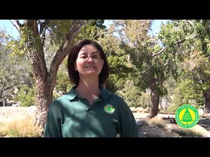 Camp Stimson: Where Stewardship and Forest Health Come Together.