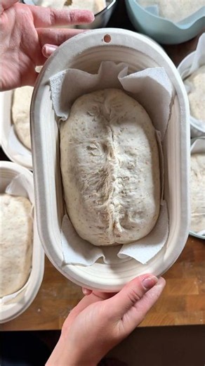 SOURDOUGH SHAPING (Trying the double-clasp method)