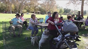 Owners hold remembrance ceremony for pets taken to Angel Paws Pet Cremation