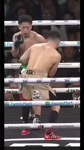 Takuma Inoue vs Kazuto Ioka Full Fight Highlights - Inoue vs Ioka Highlights
