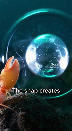 Nature’s Smallest Sonic Weapon