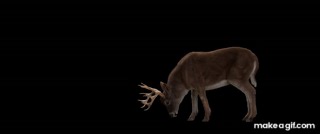 Photorealistic Deer 3D Model on Make a GIF