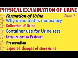 Step-by-Step Guide to Urine Testing: Formation, Collection, and Sample Preservation | Urine Analysis