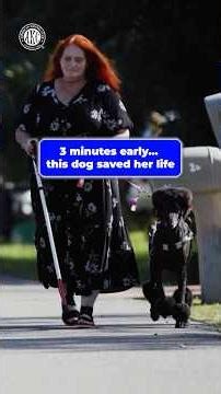 This dog saved her life