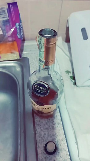 Nu ma atras niciodata la alc, socot prostie, iluzie . #sanatate #alcool #barzaalba #vodka #riogen