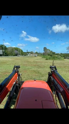 Isis River Slashing on Reels | Facebook