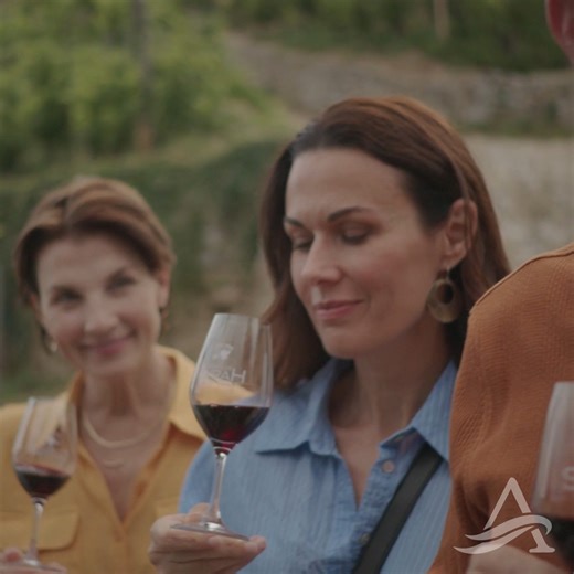 22 reactions | Sniff, swirl & sip your way through the rolling vineyards of Europe on an Avalon Waterways river cruise  If you're a wine aficionado or want to expand your wine knowledge, you can go one step further and join us on one of our Wine Appreciation river cruises: https://bit.ly/4ezzSGN | Avalon Waterways | Facebook