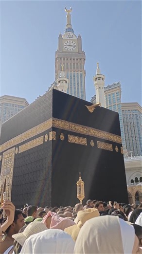 makkah Madina Vibes, Saudi Arabia #makkah #madina #shorts #hajjlive #shortvideo #mecca