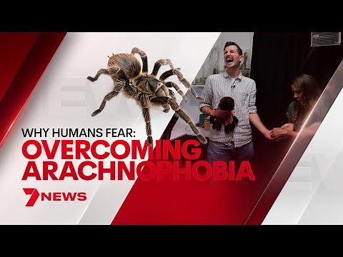 Can these three scientific tips help you overcome arachnophobia? | 7NEWS