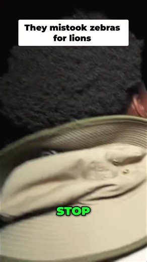 Encountering a Lion in Botswana: A Thrilling Experience