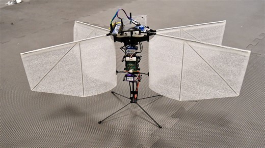 Moth-inspired drone flies and hovers with insectlike precision